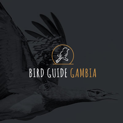 www.birdguidegambia.com | Logo, CMS Joomla, Multilingues, Bibliothèque d'oiseaux